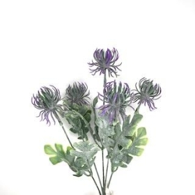 Purple Thistle Bush 31cm
