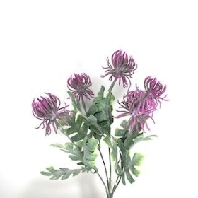 Plum Thistle Bush 31cm