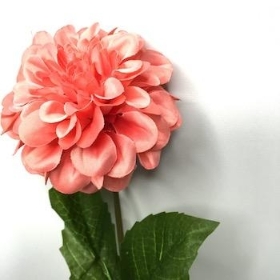 Coral Zinnia 44cm