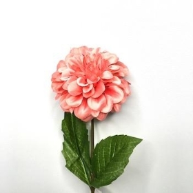 Coral Zinnia 44cm