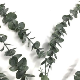 Dark Green Spiral Eucalyptus 83cm