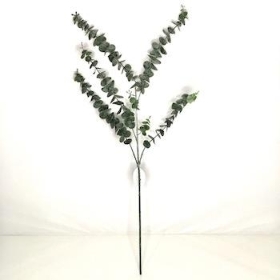 Dark Green Spiral Eucalyptus 83cm