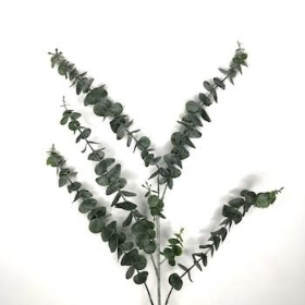 Dark Green Spiral Eucalyptus 83cm