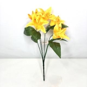 Yellow Lily Bush 36cm