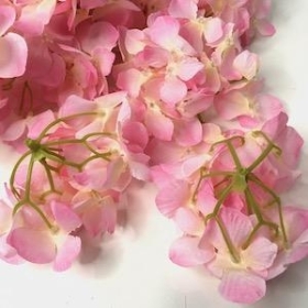 Pink Hydrangea Heads x 100