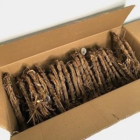 24 x Grapevine Heart 25cm
