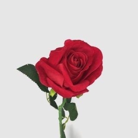Red Velvet Rose 52cm