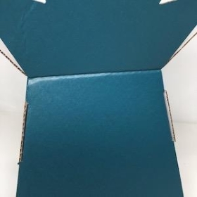 Teal Sweet Bouquet Box x 30
