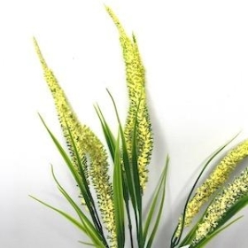 Light Yellow Foxtail Bush 34cm