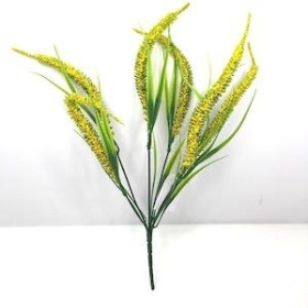 Yellow Foxtail Bush 34cm