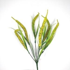 Yellow Foxtail Bush 34cm