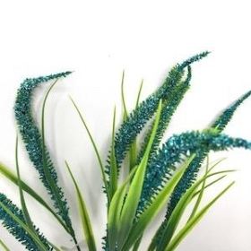 Blue Foxtail Bush 34cm