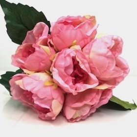 Pale Pink Peony Bundle 28cm