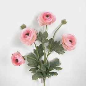 Pink Ranunculus 64cm