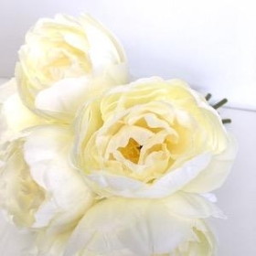 Ivory Peony Bundle 26cm
