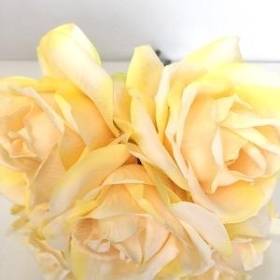 Yellow Rose Bundle 25cm