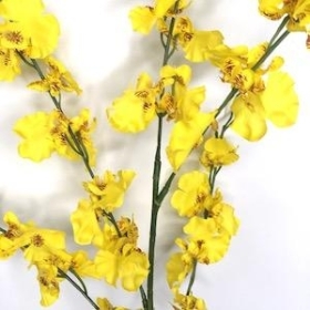 Yellow Orchid Spray 88cm