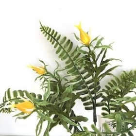Yellow Bud And Fern Bush 25cm