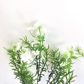 Ivory Phlox Bush 31cm