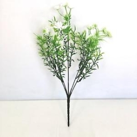 Ivory Phlox Bush 31cm