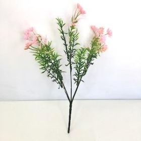 Pink Phlox Bush 31cm