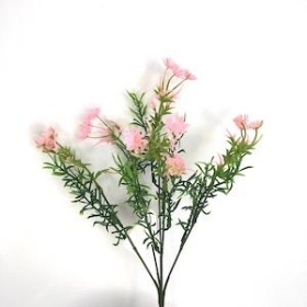 Pink Phlox Bush 31cm