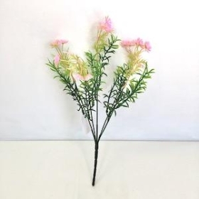 Lilac Phlox Bush 31cm