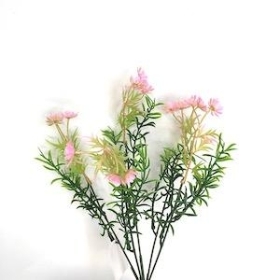 Lilac Phlox Bush 31cm