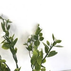 White Flower Bud Bush 34cm