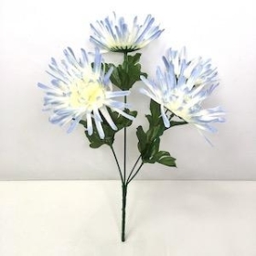 Blue Spider Chrysanthemum Bush 33cm