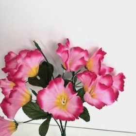 Pink Petunia Bush 32cm