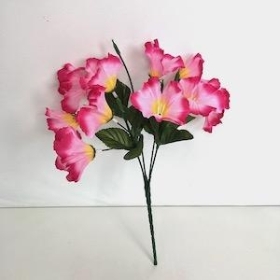 Pink Petunia Bush 32cm