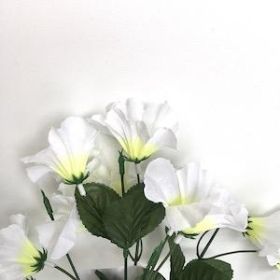 Ivory Petunia Bush 32cm