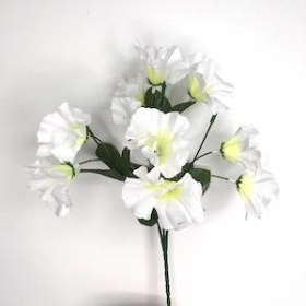 Ivory Petunia Bush 32cm