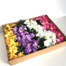 48 x Assorted Petunia Bush 32cm