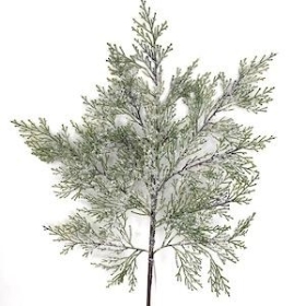 Iced Green Cypress Branch 75cm