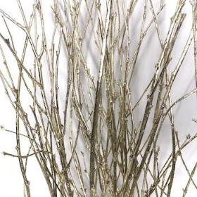 Platinum Painted Birch