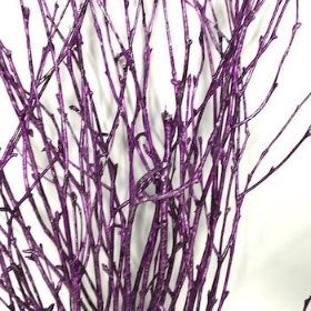 Metallic Purple Painted Birch