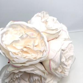 Ivory Peony Bundle 31cm