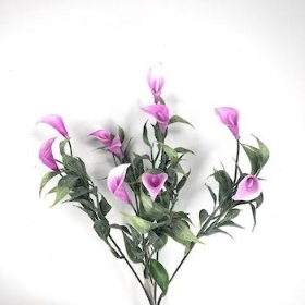Lilac Mini Calla Bush 31cm