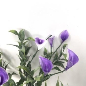 Purple Mini Calla Bush 31cm