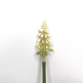 Ivory Muscari Bundle 24cm