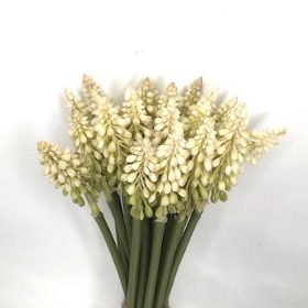 Ivory Muscari Bundle 24cm