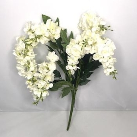 Ivory Wisteria Bush 54cm