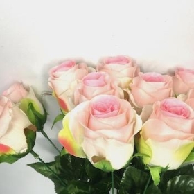 Pale Pink Rosebud Bush 49cm