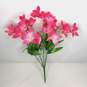 Cerise Wild Lily Bush 38cm