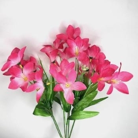 Cerise Wild Lily Bush 38cm