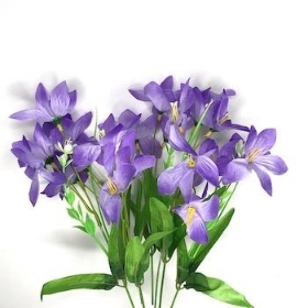 Purple Wild Lily Bush 38cm