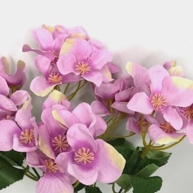 Lilac Pink Hydrangea Bush 30cm