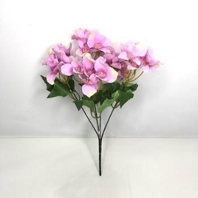 Lilac Pink Hydrangea Bush 30cm